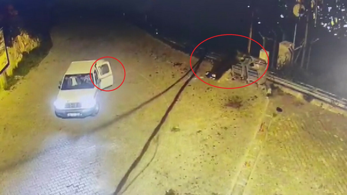 Bursa’da ayı kendini görüntüleyenlere saldırdı