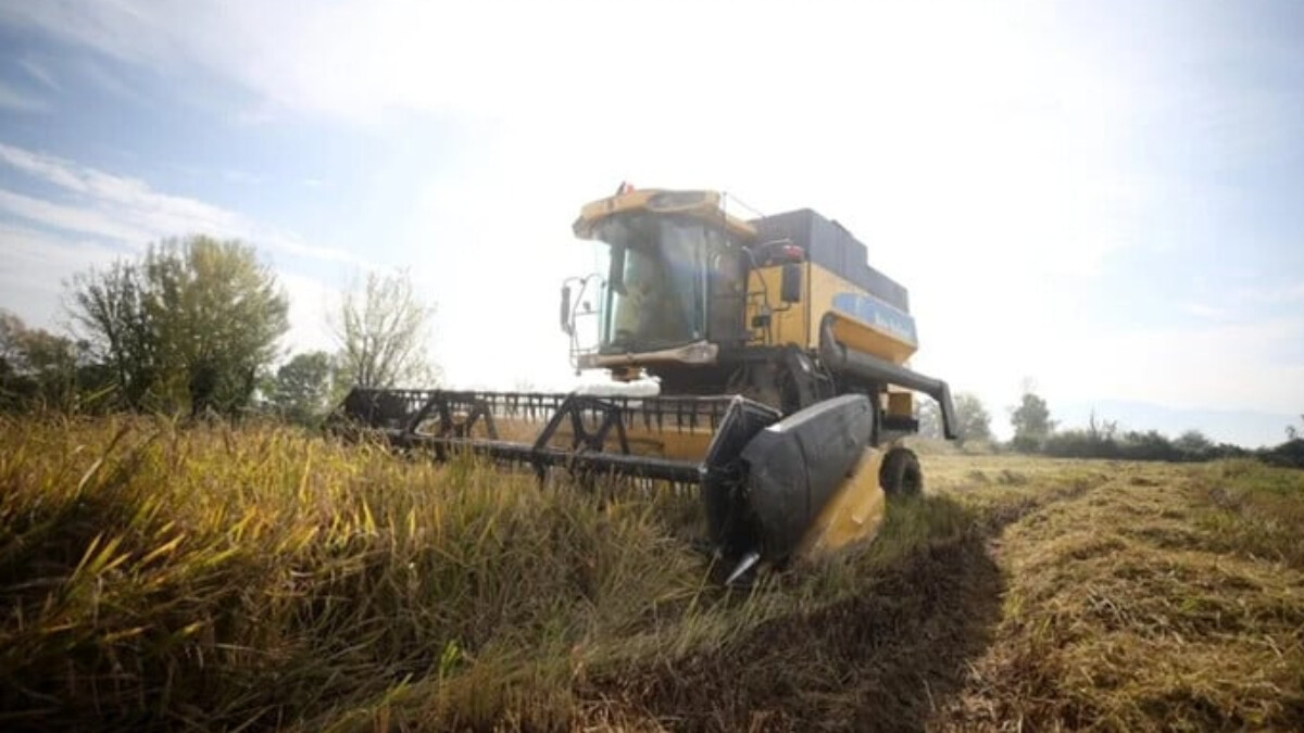 Çiftçilere 124 milyon liralık destek ödemesi yapılacak