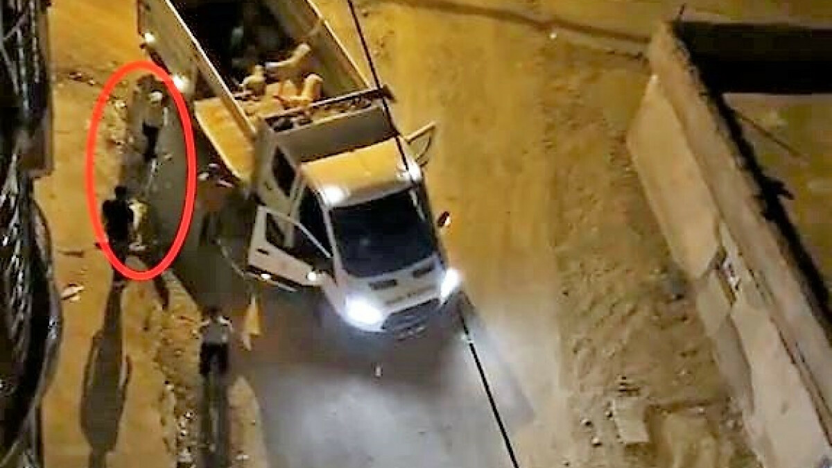 Diyarbakır’da köpeklere işkence uygulayan şahsa adli işlem