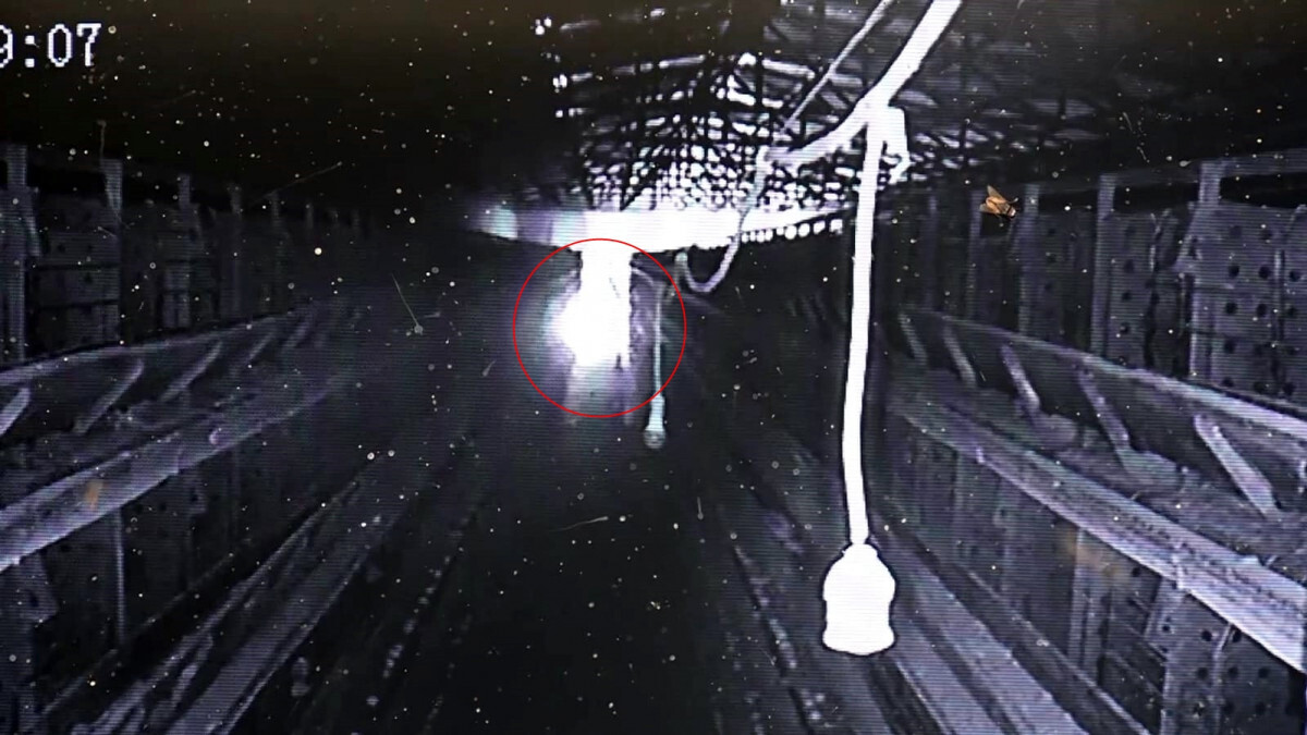 Diyarbakır’daki çiftlikte yangın: 12 bin 500 tavuk öldü