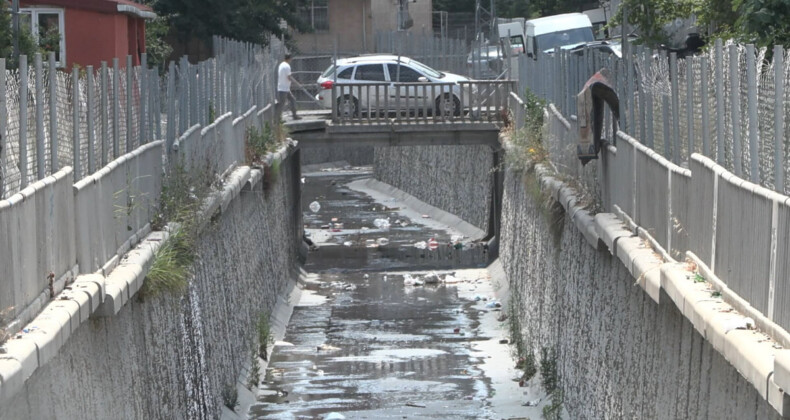 İstanbul ilçelerinde sivrisinek tedirginliği