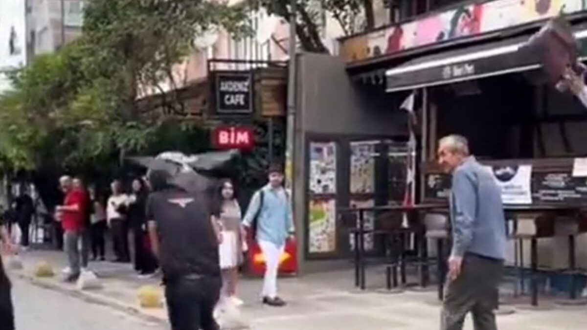 İstanbul’da karga çetesi Kadıköylülere zor anlar yaşattı