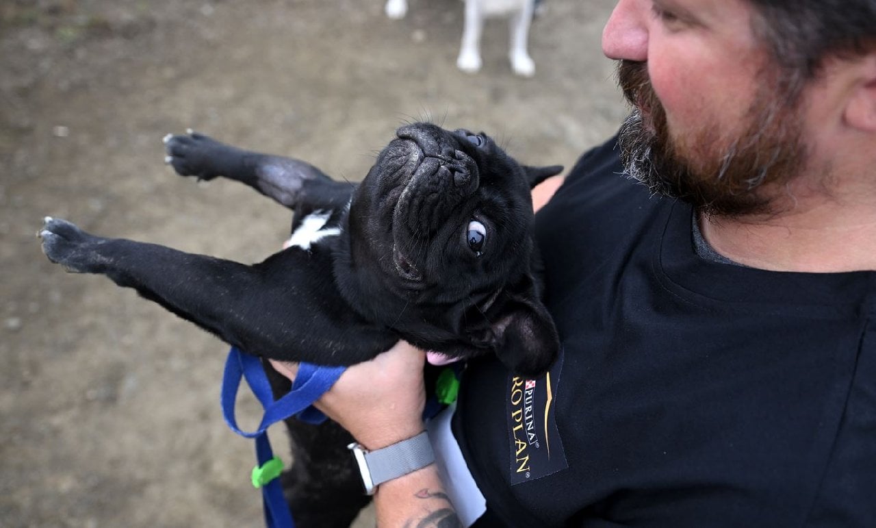 İzmir’de Köpeğini Alan Spora Koştu
