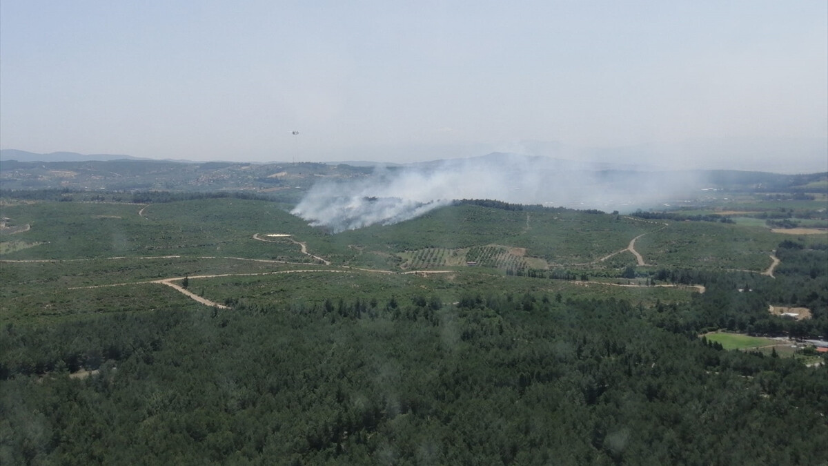 İzmir’de orman yangını başladı! Ekipler müdahaleyi sürdürüyor