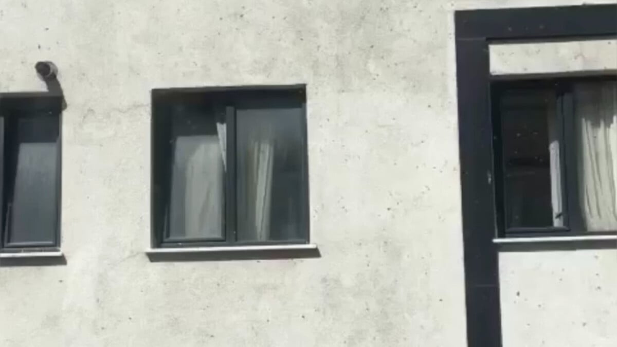 Kağıthane’de arı istilası