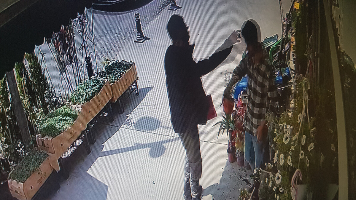 Karabük’te bir kişi, tarım ürünleri satan dükkana zarar verdi