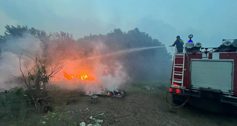 Kazakistan’da orman yangını: 60 bin hektardan fazla yeşil alan yandı