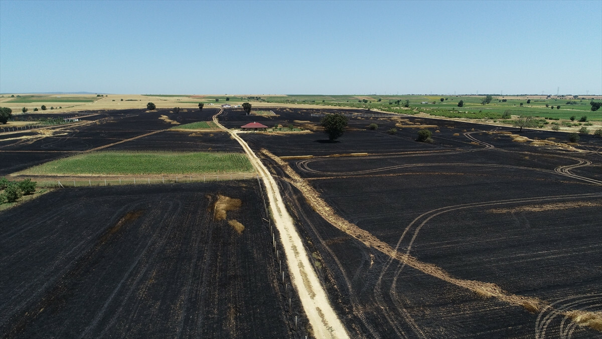 Kırklareli’nde buğday tarlasında çıkan yangın söndürüldü