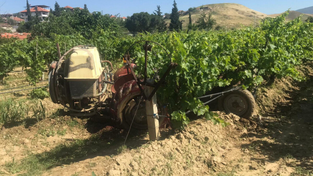 Manisa’da ağaçtaki kuşu vurmak isterken komşusunu öldüren şüpheli serbest kaldı