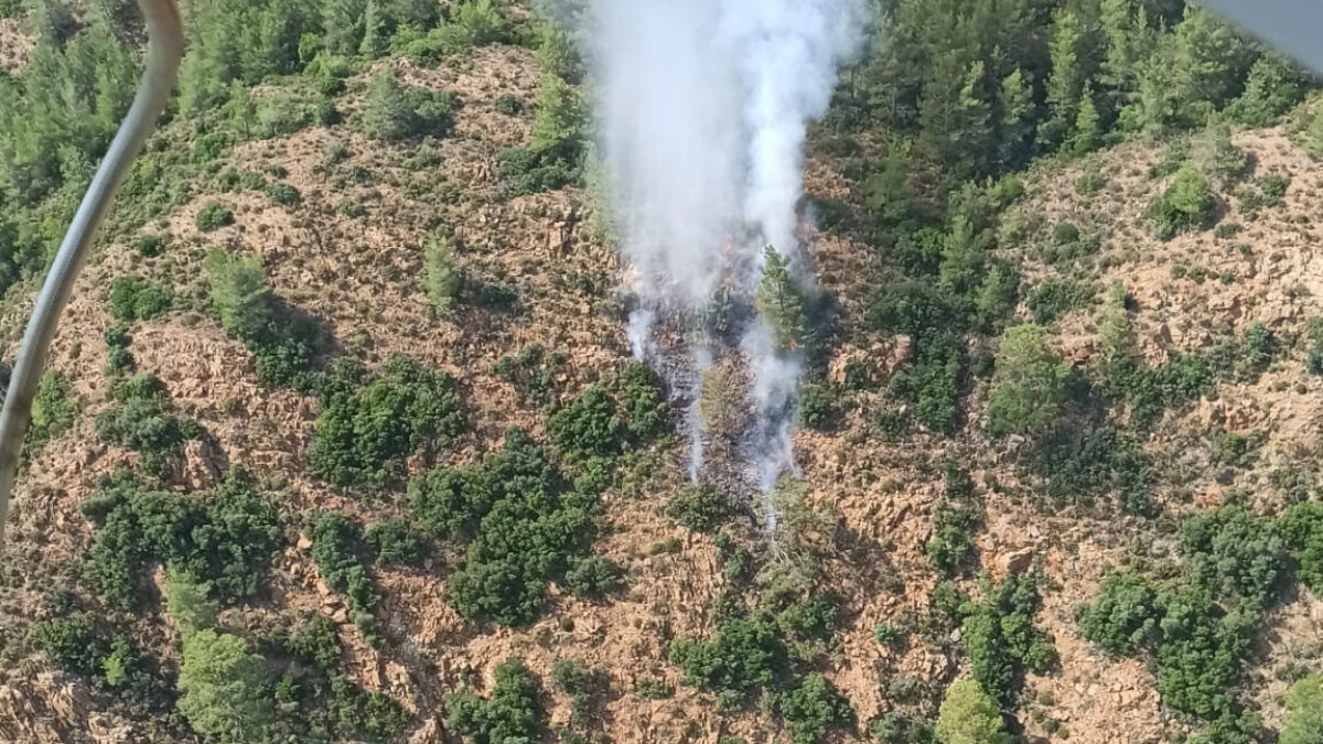 Marmaris’te orman yangını