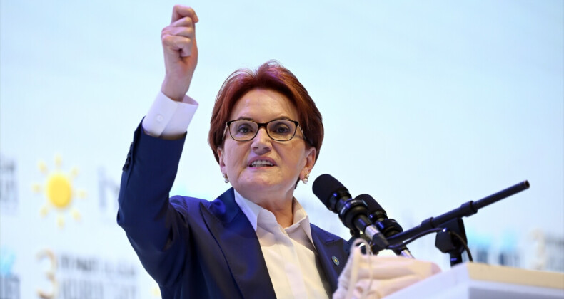 Meral Akşener, kendisine muhalif isimleri tasfiye etti