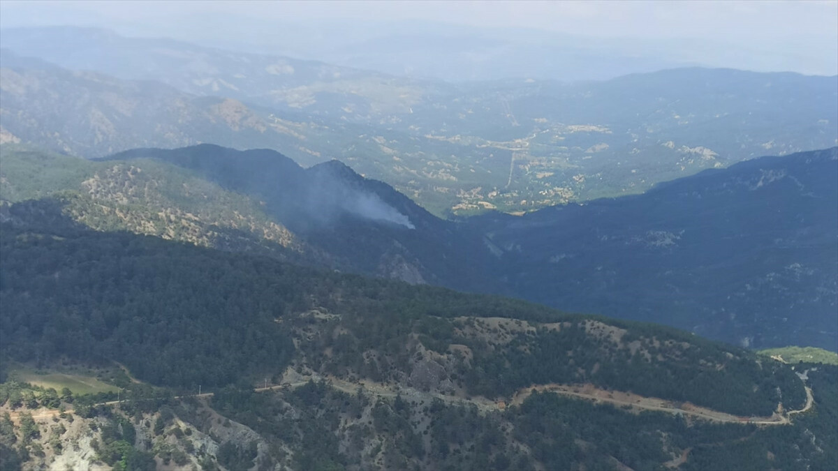 Muğla’da çıkan yangında 5 dönüm ormanlık alan zarar gördü