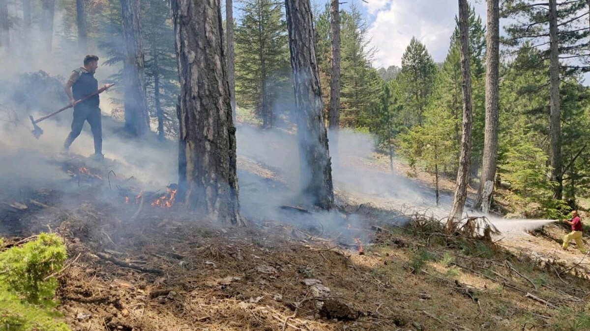 Muğla’da yaz yağmurlarının sebep olduğu yıldırım düşmesi yangınlara sebep oldu