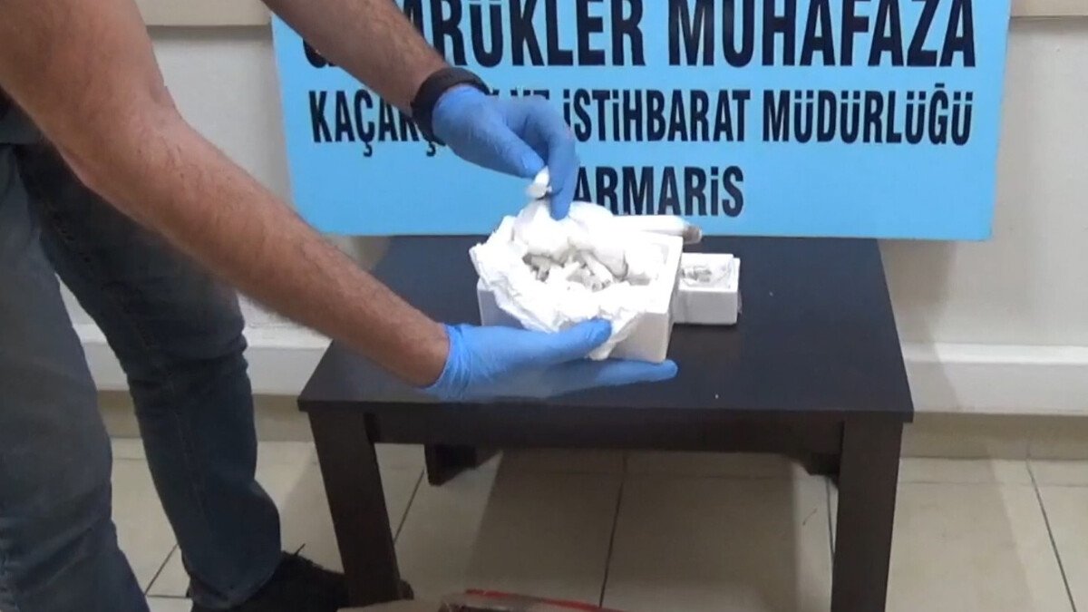 Polonya’dan yavru tarantula siparişi verdi, ‘biyoloji dersi için’ dedi