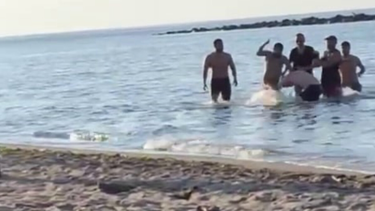 Sakarya’da plajdakileri rahatsız etti, dayak yedi