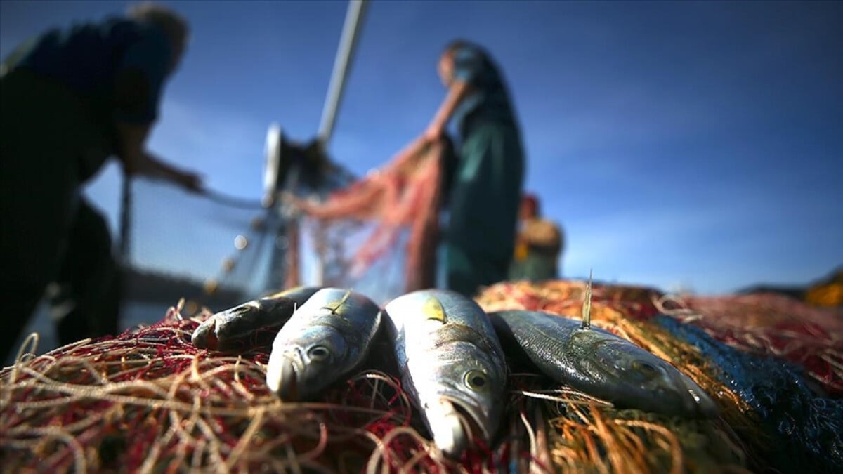 Su ürünleri üretimi 2022 yılında yüzde 6,2 arttı