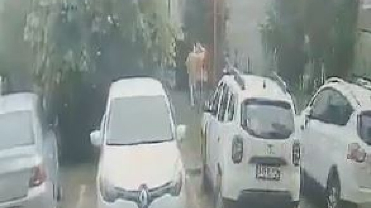 Trabzon’daki parkta oynayan çocuğun başına yorgun mermi isabet etti