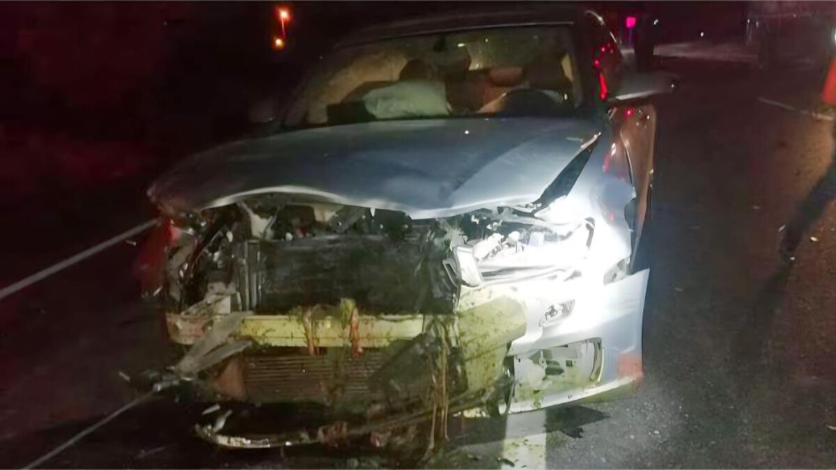 Uşak’ta otomobil çarptığı koyun sürüsünde 18 koyunu telef etti