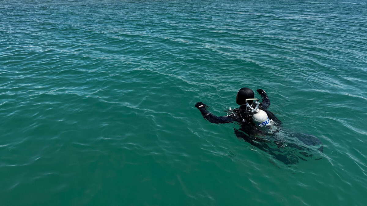 Van Gölü’ne giren iki genç boğuldu