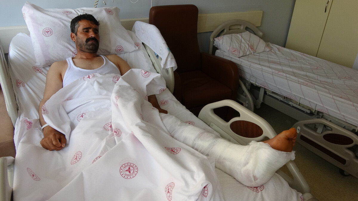 Van’da seçtiği kurbanlık hayvan zincirini koparıp hastanelik etti