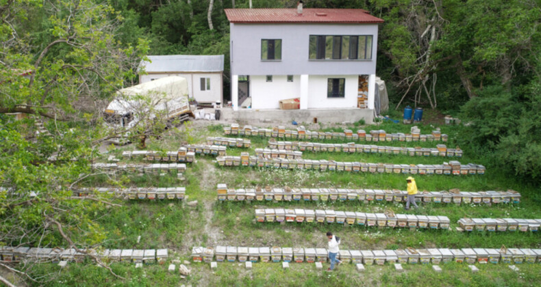 Van’daki bal kalitesini yöreden alıyor