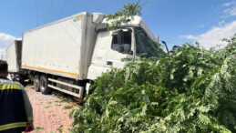 Aksaray’da freni boşalan kamyon elektrik direğine çarptı