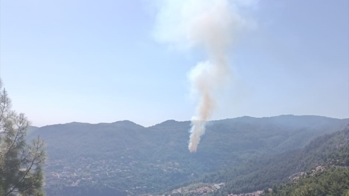 Alanya’daki ormanlık alanda yangın çıktı