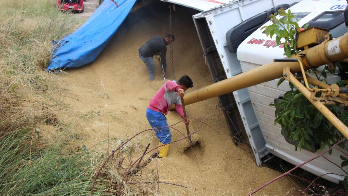 Amasya’da yola dökülen tır dolusu arpa, çiftçilerin dayanışmasıyla toplandı