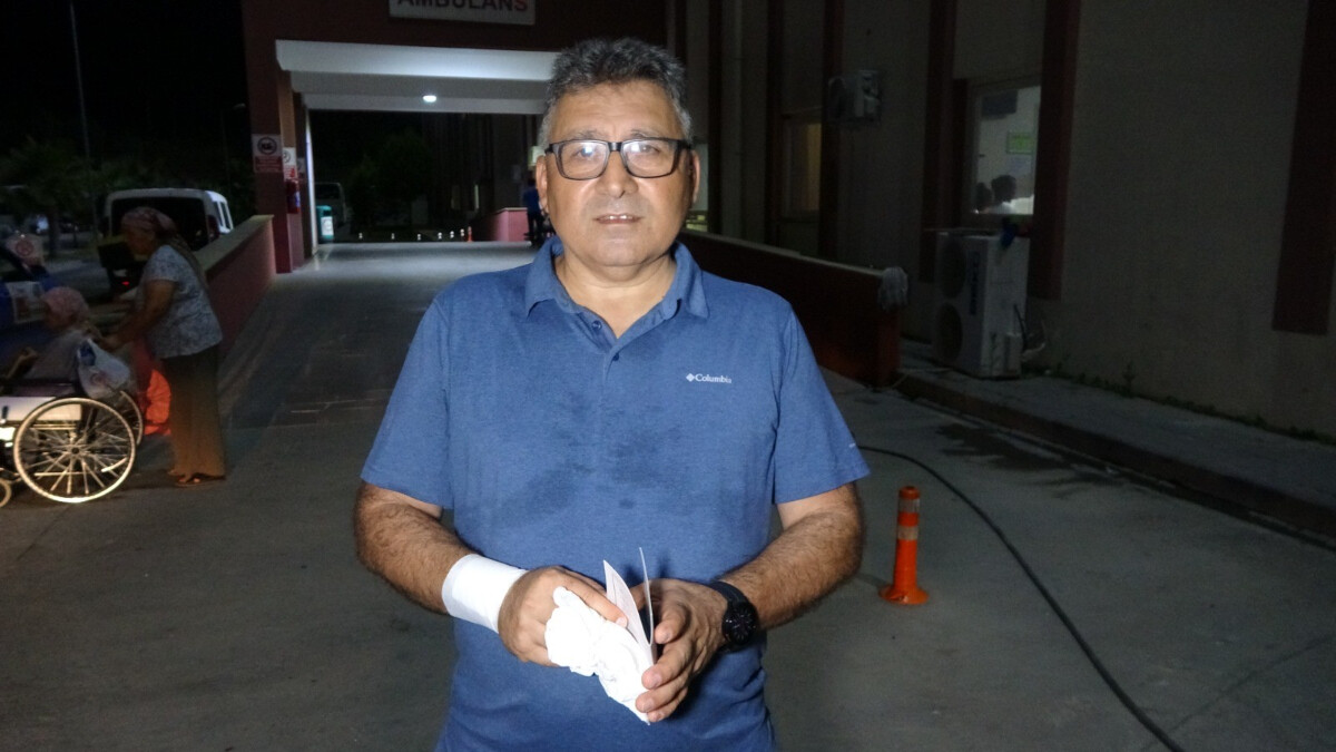 Antalya’da ağızlıksız doberman, labrador cinsi köpeğe ve sahibine saldırdı