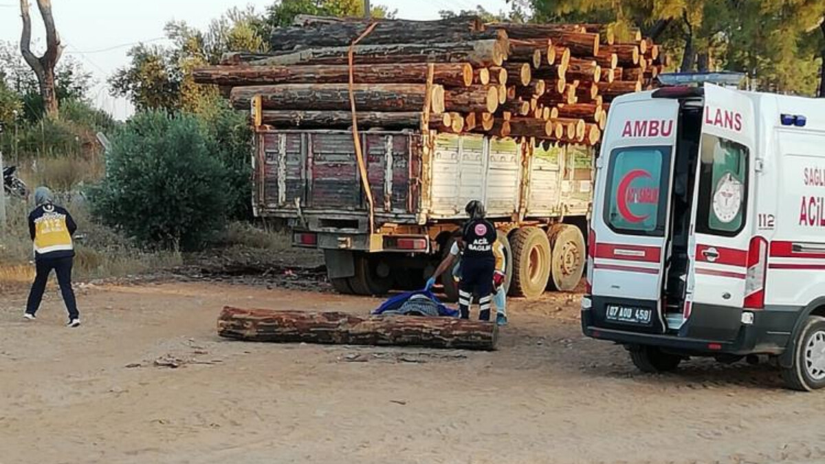 Antalya’da başına tomruk düşen adam yaşamını yitirdi