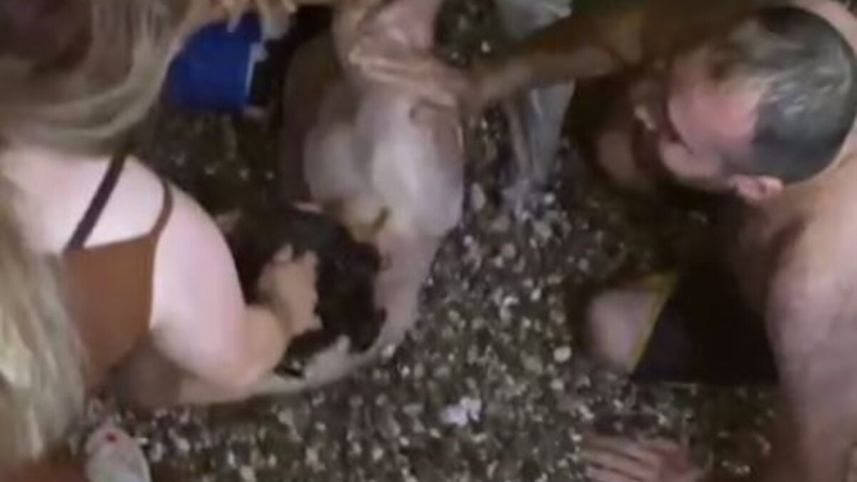 Antalya’da boğulma tehlikesi geçiren gencin başında ilk yardım için tartıştılar