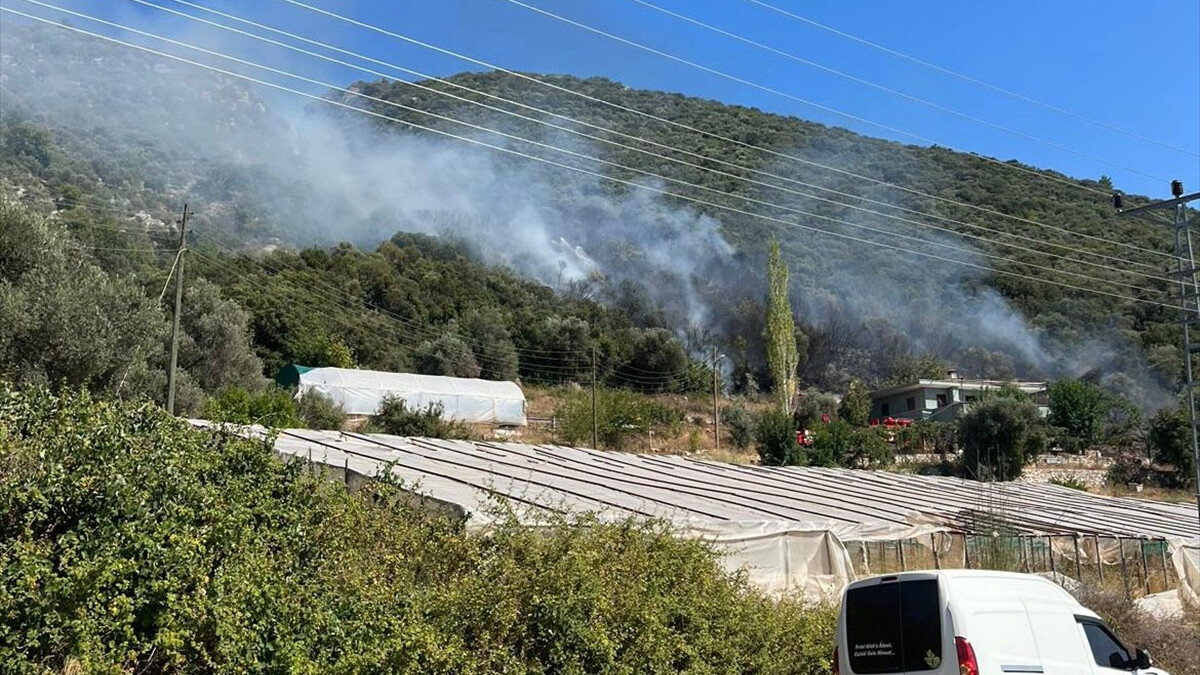 Antalya’da dumanlar yükseliyor! Kaş’ta makilik alanda yangın başladı