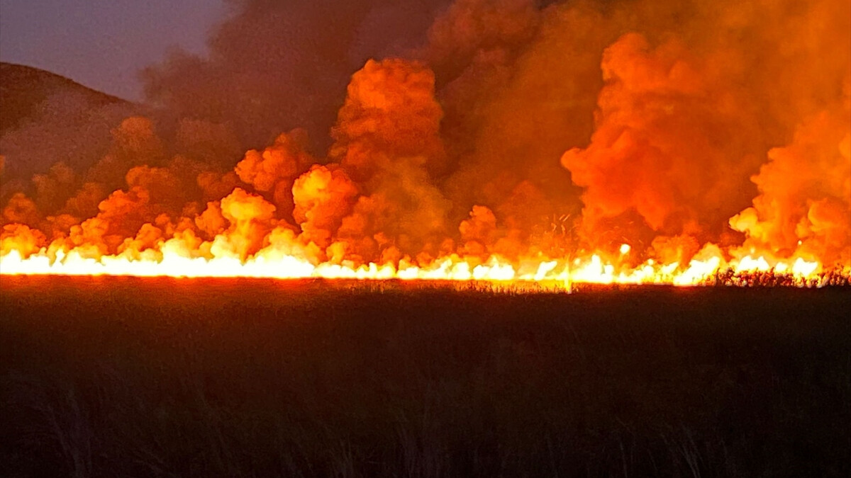 Antalya’da sazlık alanda yangın