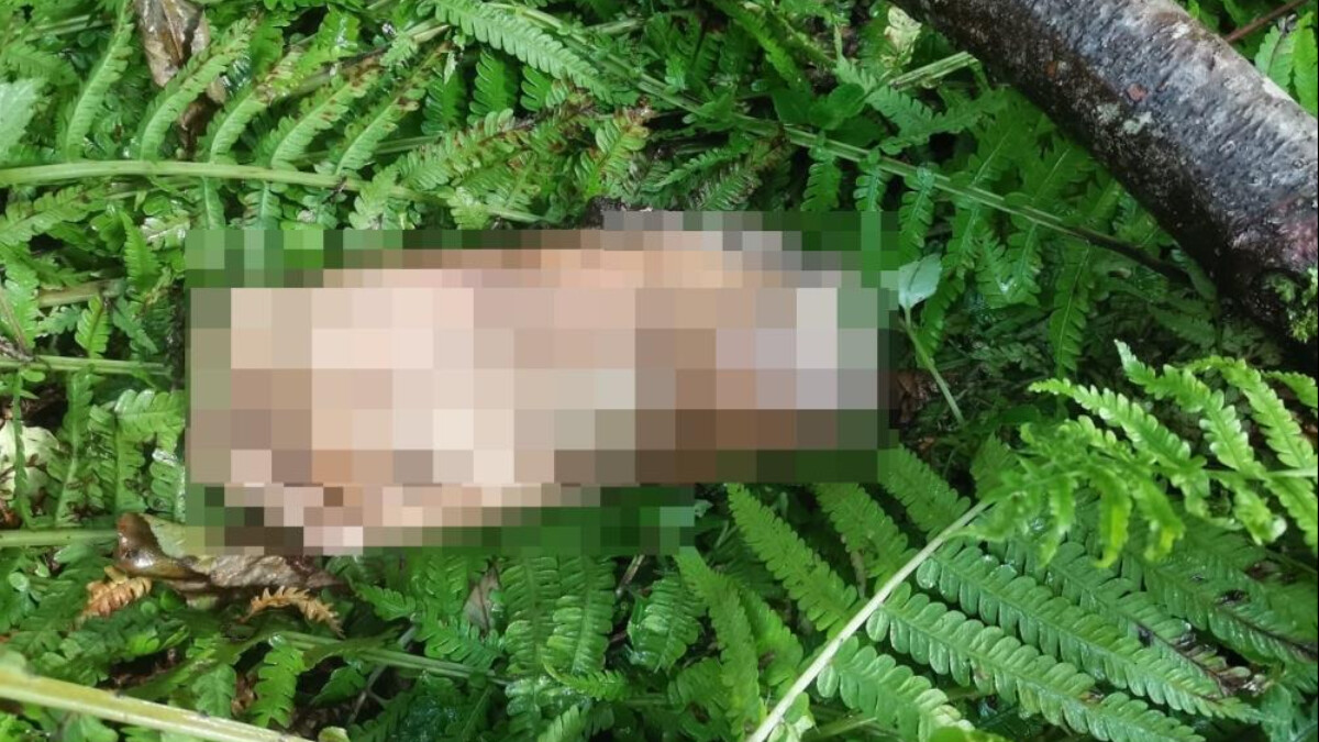 Artvin’de belediye hoparlörlerinden şaşırtan anons: Ayak parçası bulundu