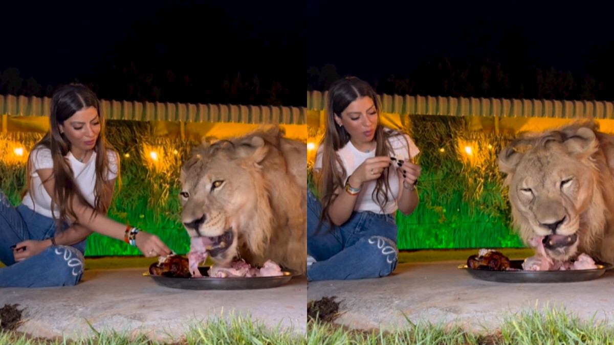 Aslanla aynı tabaktan yemek yiyen cesur kadının görüntüleri sosyal medyayı salladı