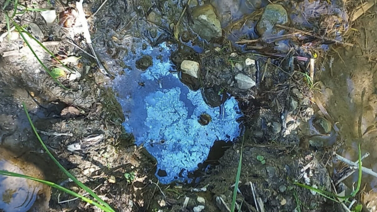 Bayburt’ta petrol araması derinleştirildi: 2-3 boyutlu sismik çalışmaların yapılması gerekiyor