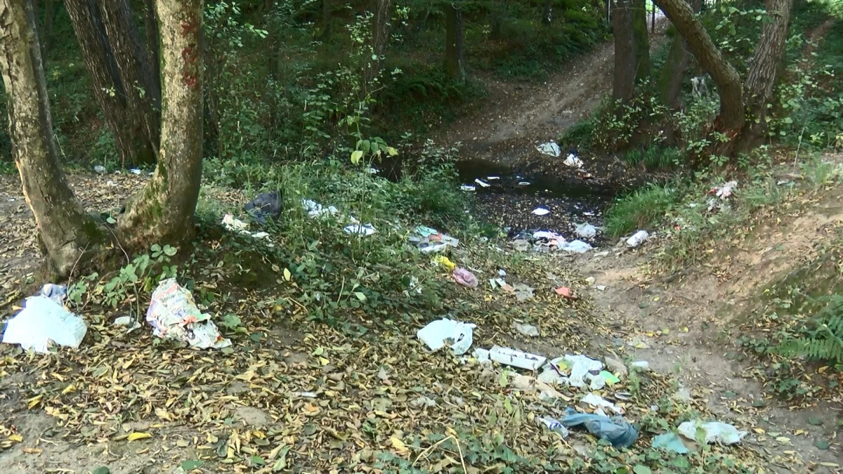 Belgrad Ormanı çöplüğe döndü! 3 günde 18 ton çöp toplandı