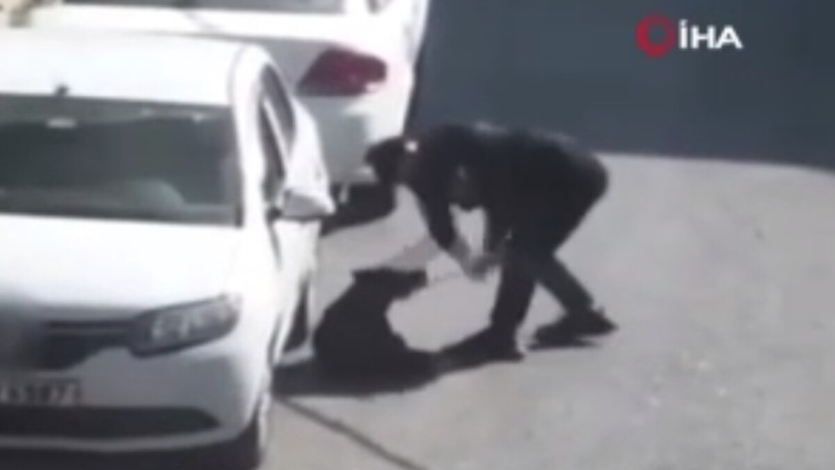 Beşiktaş’ta köpeğe yönelik şiddete 3 yıla kadar hapis istemi