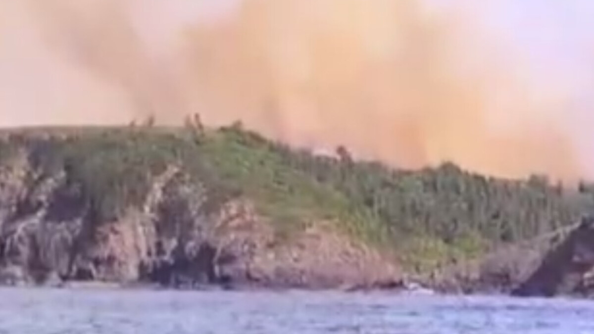 Beykoz’daki ormanlık alanda yangın çıktı