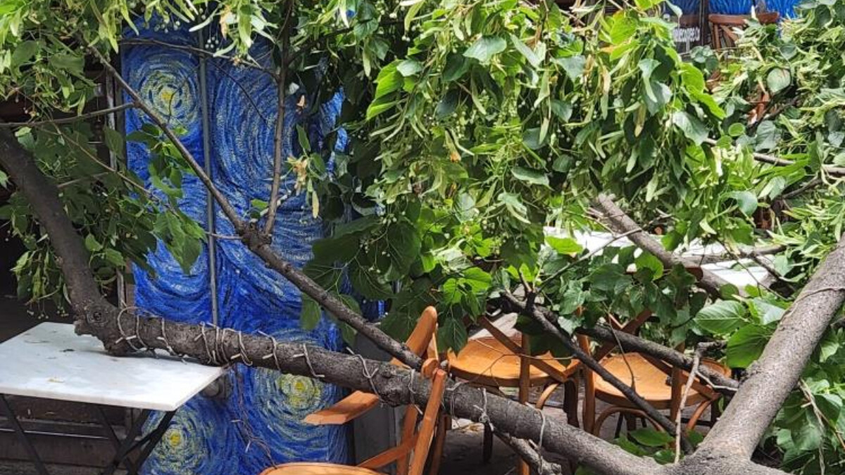 Beyoğlu’nda şiddetli rüzgar ağacı devirdi: Facianın eşiğinden dönüldü