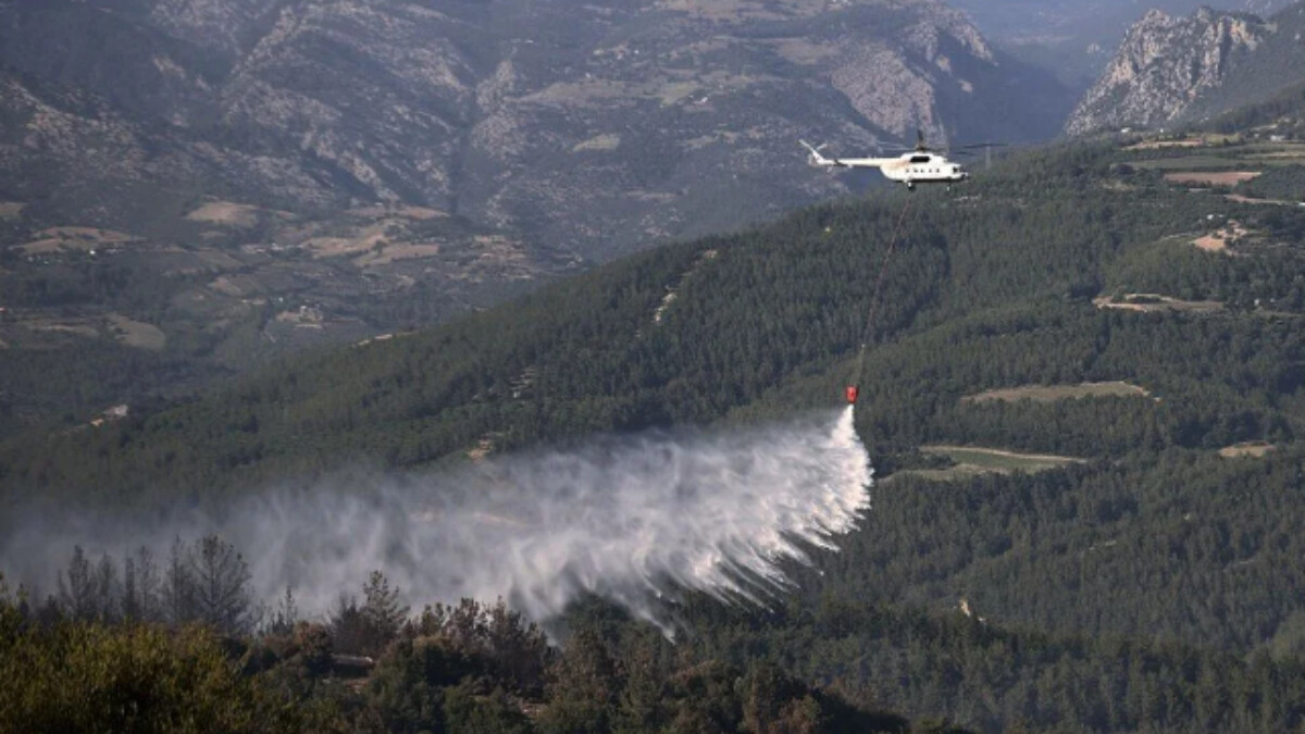 Bir orman yangını da Adana’da çıktı