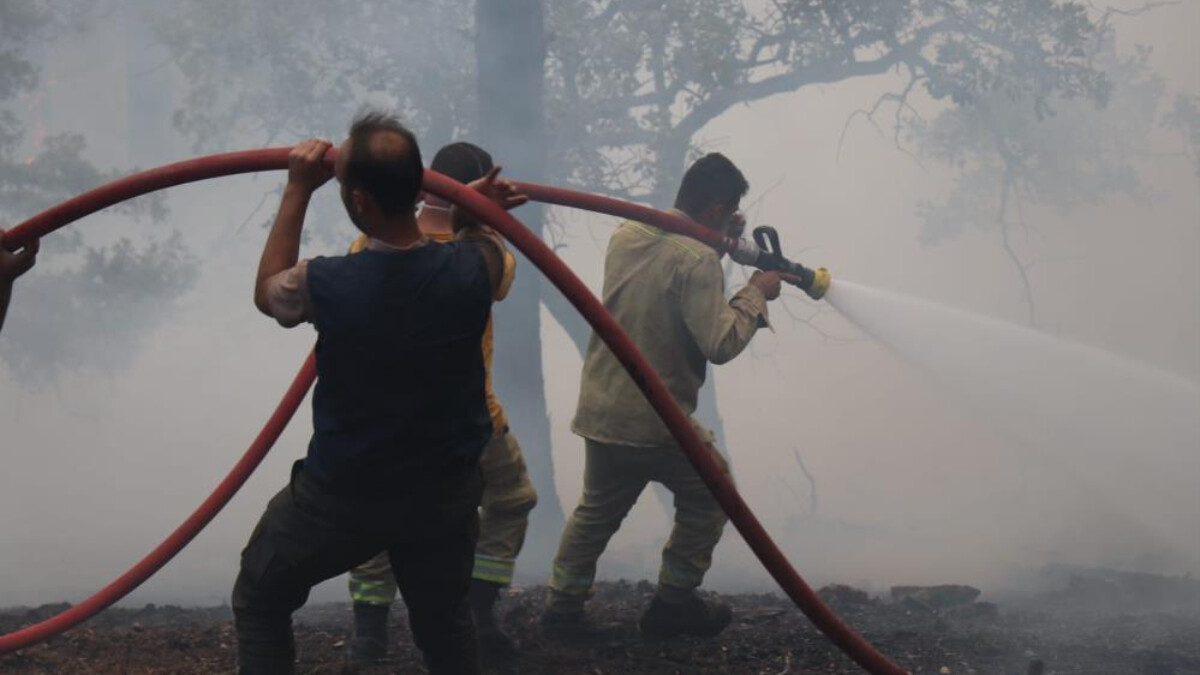 Bolu’da yangın büyüyor! 15 hektarlık alan kül oldu
