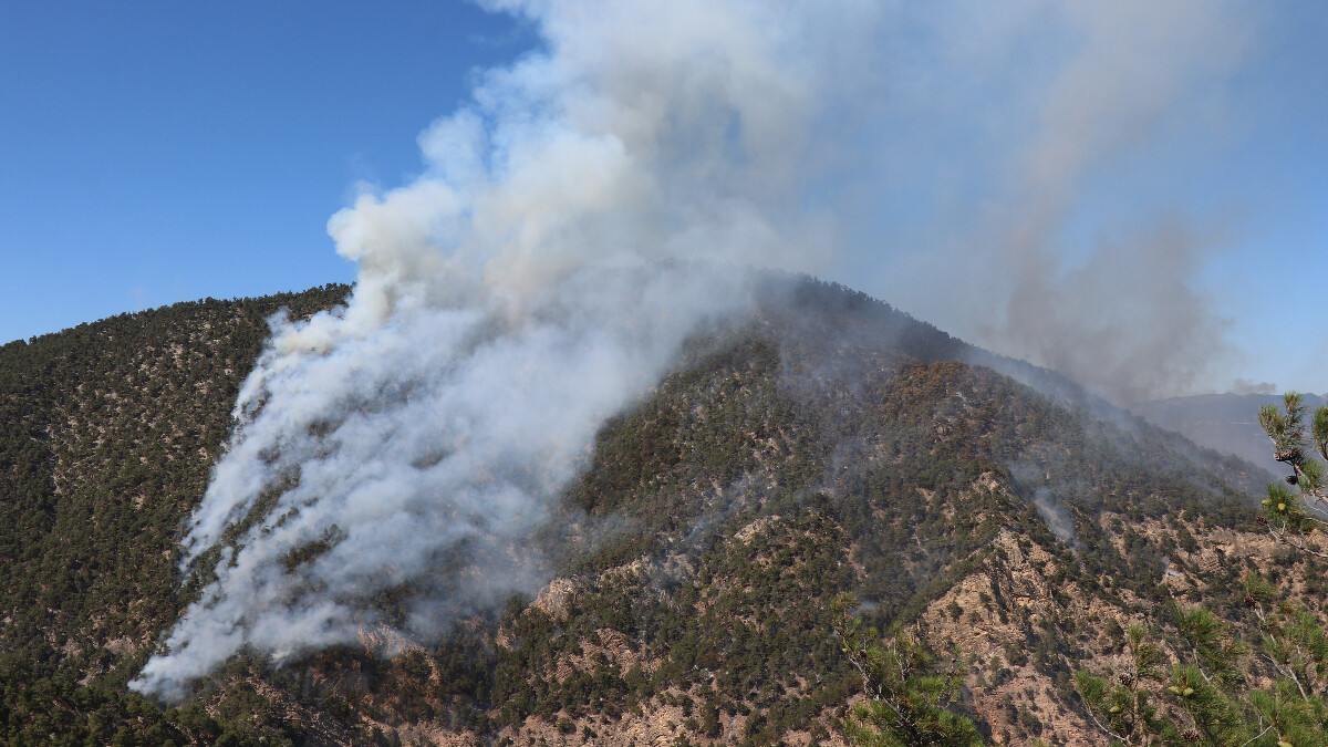 Bolu’da yıldırım düşmesi sonucu başlayan yangınla mücadele sürüyor