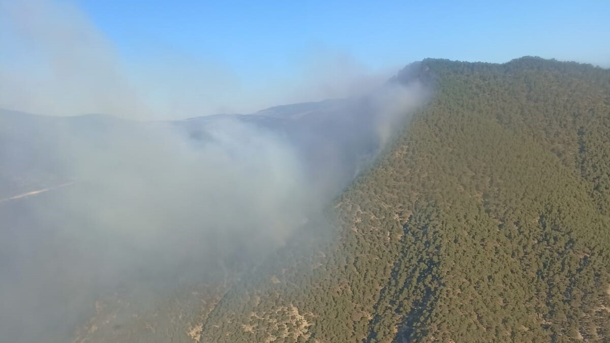 Bolu’da yıldırım düşmesi sonucu çıkan yangınla mücadele sürüyor