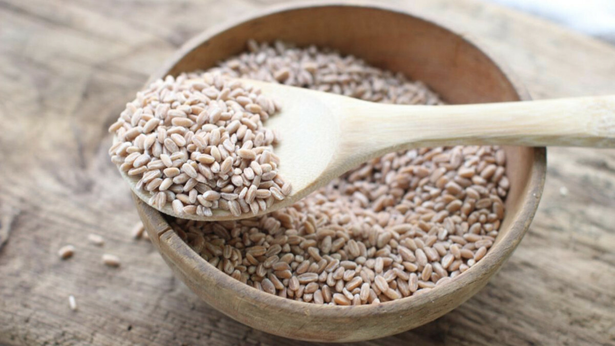 Buğday fiyatları bir günde yüzde 8’den fazla arttı