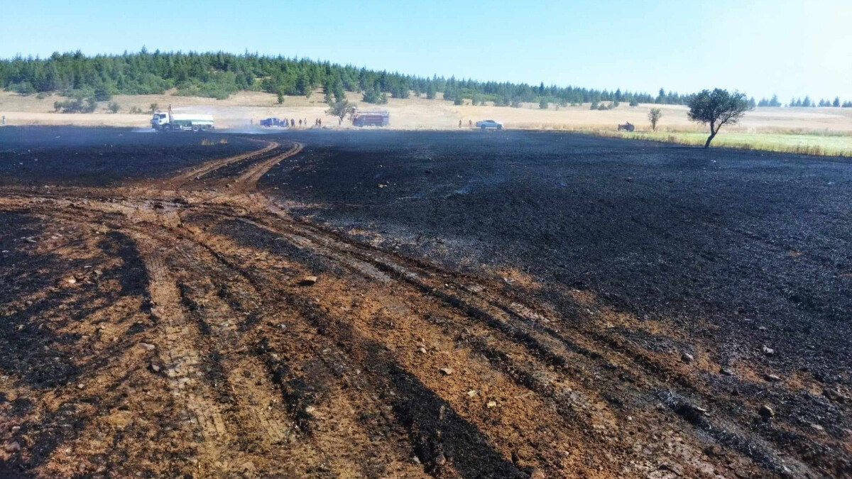 Burdur’da çay keyfi yapan adam, 20 dönümü küle çevirdi