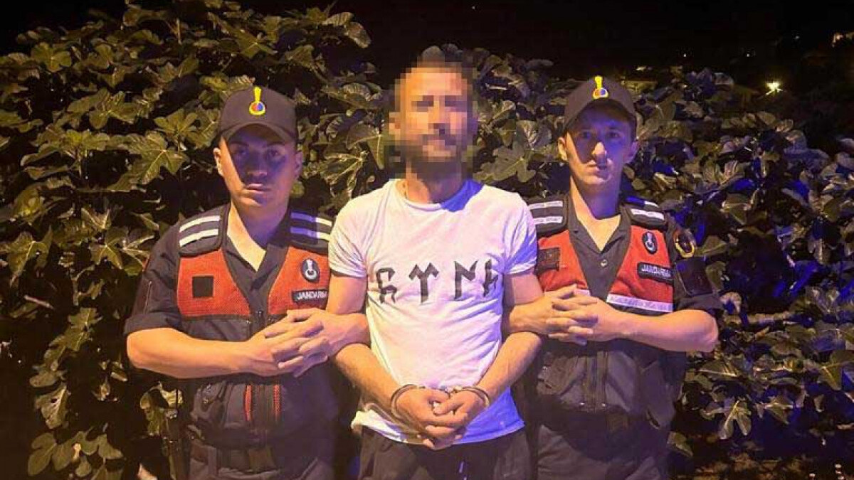 Bursa’da orman yangını: Sıkıldım, canım istediği için yaktım