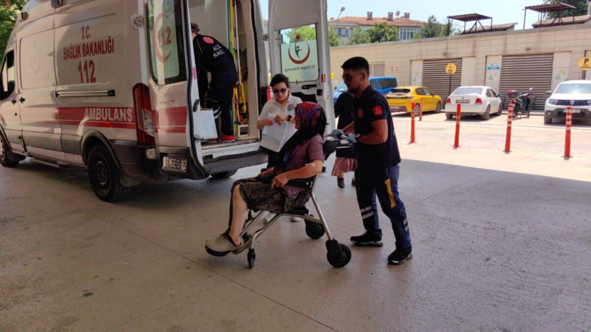 Bursa’da yaşlı kadına köpek saldırdı