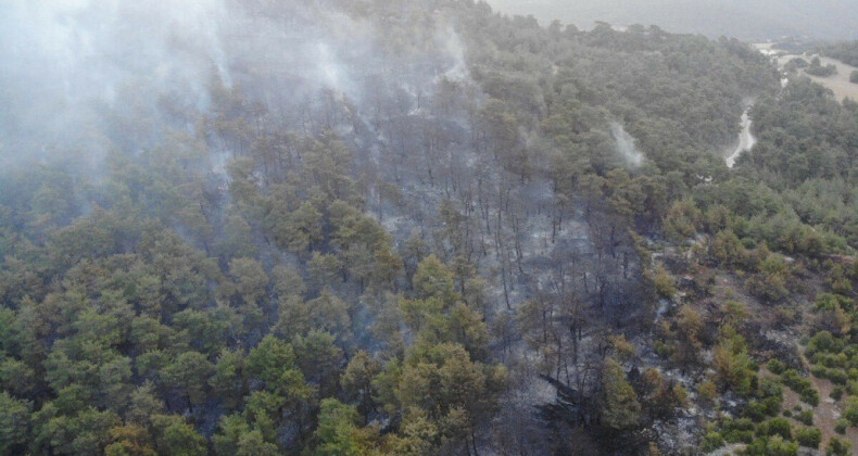 Çanakkale bir kez daha alevlere teslim oldu! 16’ncı saatte söndürüldü