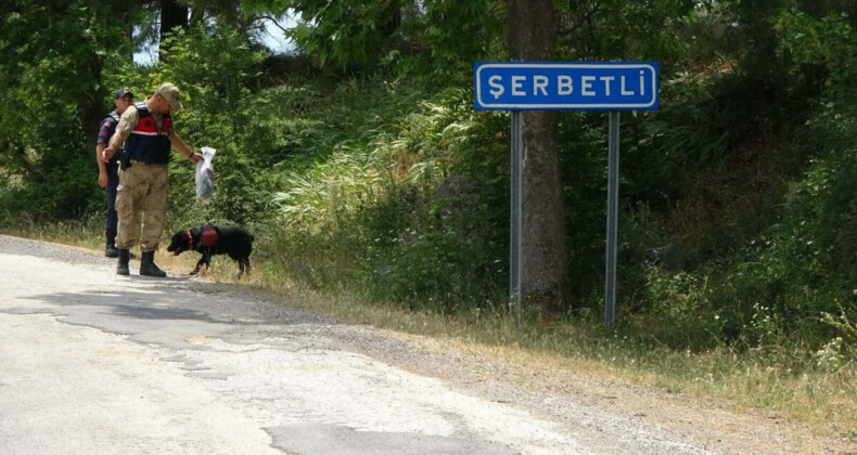 Çanakkale’de eşini iki kez kaçıran muhtar tahliye oldu